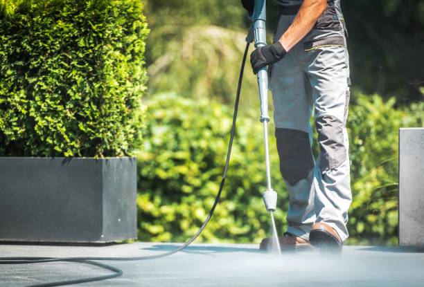 Best Sidewalk and Walkway Cleaning  in Waipahu, HI